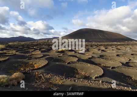 Viticoltura su suolo vulcanico, paesaggio tipico con montagne vulcaniche all'orizzonte, regione vinicola la Geria, Lanzarote, Spagna, Europa Foto Stock