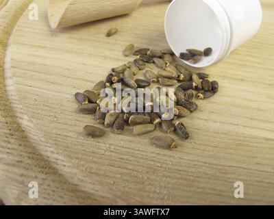 Cardo di latte, Cardui mariae fructus Foto Stock