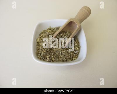 Erba di legno di verme essiccato su un asse di legno, Artemisia absinthium Foto Stock