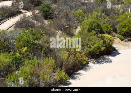 sentiero escursionistico nella zona costiera Foto Stock