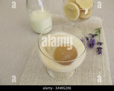 Latte freddo con cubetti di ghiaccio al cocco e caffè Foto Stock