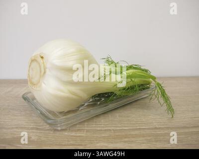 Finocchio vegetale fresco con foglie verdi Foto Stock
