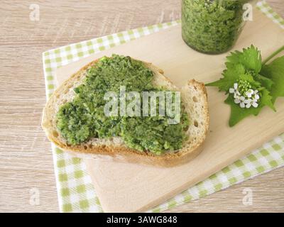 Pesto di rucola all'aglio fatto in casa su baguette Foto Stock