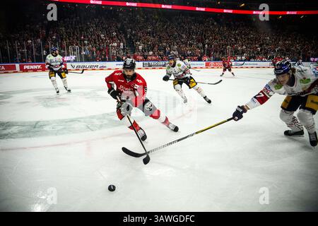 COLONIA, GERMANIA - 19 APRILE 2025: Maximilian Kammerer - la partita di hockey DEL KOELNER HAIE - EISBAEREN BERLIN alla Lanxess Arena. Per l'editoriale Foto Stock