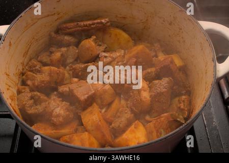 Curry di maiale Foto Stock