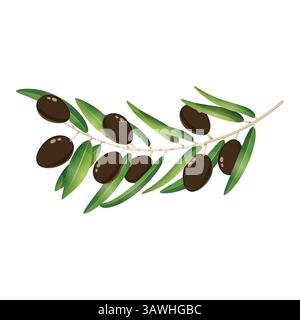 Ramo di olivo nero con frutti di bosco Illustrazione Vettoriale
