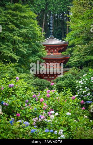 Le ortensie in fiore incorniciano la storica Pagoda a tre piani al tempio Gansen-ji, Kizugawa, Kyoto, Giappone. Iconica vista estiva. Foto Stock