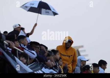 Argentina. 20 aprile 2025. Buenos Aires, 20.04.2025: Folla del Deportivo Riestra durante la partita per il 14° round della Lega Argentina allo Stadio Guillermo Laza ( crediti: Néstor J. Beremblum/Alamy Live News Foto Stock