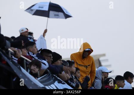 Argentina. 20 aprile 2025. Buenos Aires, 20.04.2025: Folla del Deportivo Riestra durante la partita per il 14° round della Lega Argentina allo Stadio Guillermo Laza ( crediti: Néstor J. Beremblum/Alamy Live News Foto Stock