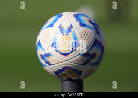 Argentina. 20 aprile 2025. Buenos Aires, 20.04.2025: Pallone della Professional League Argentina prima della partita per il 14° turno della Lega Argentina allo Stadio Guillermo Laza ( crediti: Néstor J. Beremblum/Alamy Live News Foto Stock