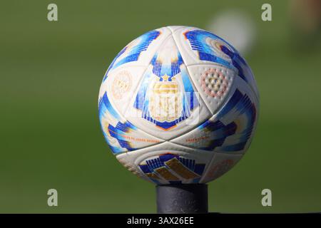 Argentina. 20 aprile 2025. Buenos Aires, 20.04.2025: Pallone della Professional League Argentina prima della partita per il 14° turno della Lega Argentina allo Stadio Guillermo Laza ( crediti: Néstor J. Beremblum/Alamy Live News Foto Stock