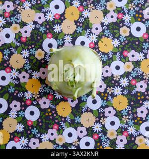 27 luglio 2016 - St. Petersburg, Florida, Stati Uniti - LARA CERRI | Times. Kohlrabi - per gusto. (Immagine di credito: © Tampa Bay Times via ZUMA Wire) Foto Stock