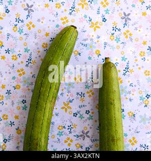 27 luglio 2016 - St. Petersburg, Florida, Stati Uniti - LARA CERRI | Times. Luffa gourd - per il gusto. (Immagine di credito: © Tampa Bay Times via ZUMA Wire) Foto Stock