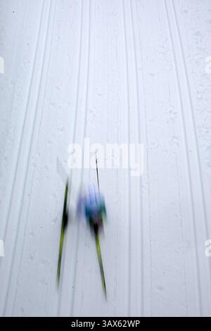 28 febbraio 2010 - Whistler, BC, Canada - WHISTLER, BC: FEBBRAIO 28, 2010 -- Uno sciatore solitario si fa strada in discesa nei 50 KM DI Mass Start maschili al Whistler Olympic Park , a Whistler, BC, durante i Giochi Olimpici del 2010, domenica 28 febbraio 2010. (Peter J. Thompson / Canwest News Service) CNS-OLY-XCanada (immagine di credito: © CanWest/ZUMApress.com) Foto Stock