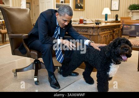 21 giugno 2012 - Washington, Distretto di Columbia, USA - il presidente degli Stati Uniti Barack Obama accoppia Bo, il cane della famiglia Obama nell'Ufficio ovale della Casa Bianca il 21 giugno 2012 a Washington, Distretto di Columbia. (Immagine di credito: © Pete Souza/The White House/ZUMAPRESS.com) Foto Stock