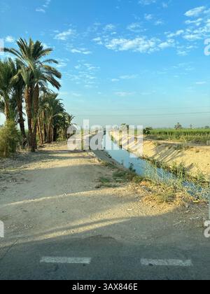 Vista dell'Egitto rurale con palme, raccolti e fiume e lungo la strada, l'Egitto Foto Stock