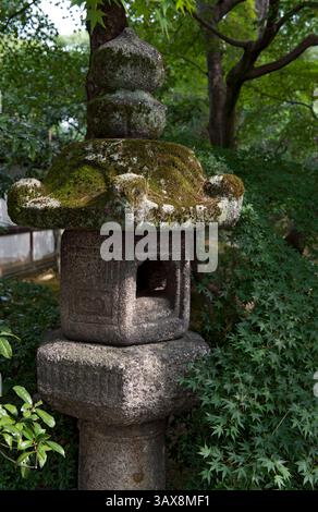 Una lanterna in pietra in stile Kasuga ricoperta di muschio (ishidoro) sorge tra il verde del giardino Oikeniwa presso il Palazzo Imperiale Gosho a Kyoto, in Giappone. Foto Stock
