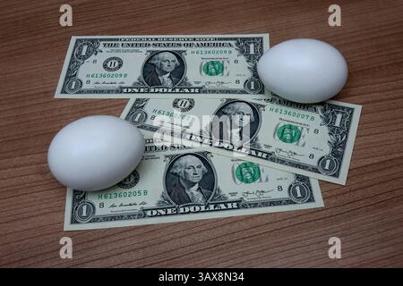 zwei Eier auf drei Dollarscheinen zwei Eier auf drei Dollarscheinen, 04.04.2025, Borkwalde, Brandeburgo, Auf drei Dollarscheinen liegen zwei weisse Hühnereier. *** Due uova su banconote da tre dollari due uova su banconote da tre dollari, 04 04 2025, Borkwalde, Brandeburgo, ci sono due uova di pollo bianco su banconote da tre dollari Foto Stock