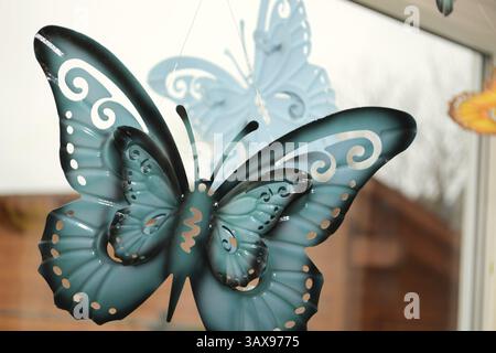 Farfalla decorativa sulla vetrina Foto Stock
