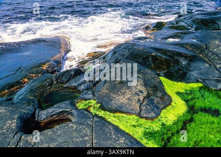 Riva del mare su una costa rocciosa con buche glaciali nella roccia vicino al mare Foto Stock