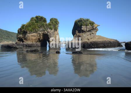 Una vista della spiaggia del fiume Fox sulla costa occidentale della nuova Zelanda mentre arriva la marea Foto Stock