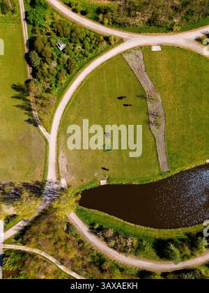 Vista aerea di un pascolo verde con cavalli da pascolo, strade sterrate intersecanti e un canale tortuoso che riflette la luce del sole, il tutto circondato da una vegetazione lussureggiante Foto Stock