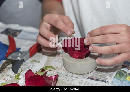 Fiorista crea un regalo floreale creativo con rosa in ciotola di cemento - primo piano decorazione floreale Foto Stock