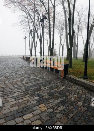 Mattina di Foggy nel parco. Vista prospettica del vicolo acciottolato del parco durante la nebbiosa mattina d'autunno. Foto Stock