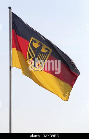 Bandiera tedesca con aquila federale Foto Stock