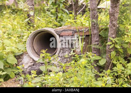 Scorcio della verde campagna primavera, particolare di un tubo di irrigazione Foto Stock