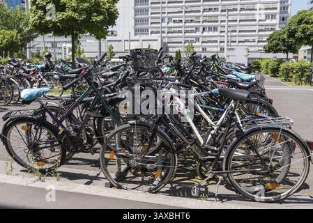 C'è un sacco di biciclette in un unico parco, il caos delle biciclette Foto Stock