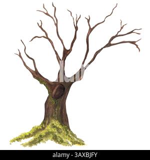 Un vecchio albero con rami cavi e lunghi e muschio verde sulle radici. Clipart del giardino. Albero cavo della foresta profonda. Illustrazione ad acquerello disegnata a mano. Per Foto Stock