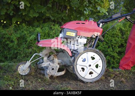 Giardiniere con zappa motorizzata per la lavorazione del terreno e per il paesaggio del giardino Foto Stock