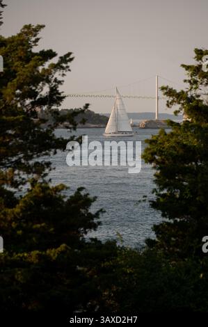 Naviga in barca a vela attraverso le acque di Newport al tramonto Foto Stock