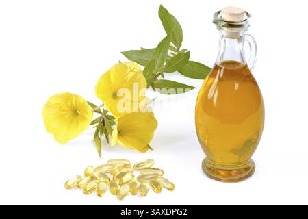 Primrose serali con capsule di gelatina e bottiglia di olio su sfondo bianco primrose serali con capsule di gelatina e bottiglia di olio su fondo bianco Foto Stock