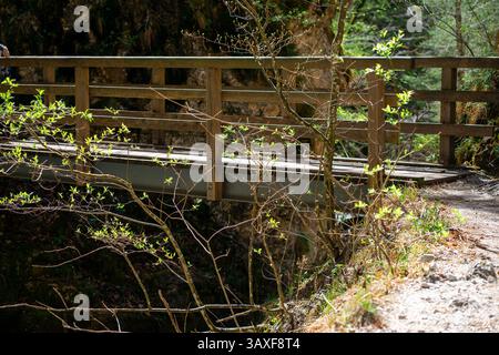Vista di un piccolo ponte di legno su un fiume di montagna tra la foresta Foto Stock