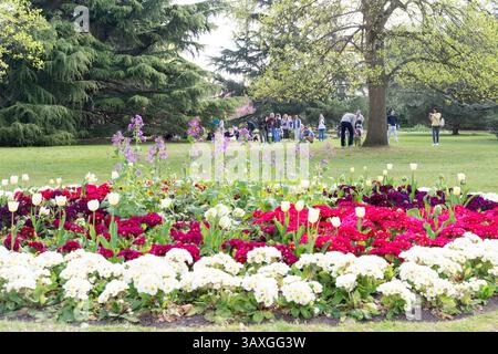 Giardino dei fiori di Greenwich e riunione di famiglia nella soleggiata giornata primaverile Inghilterra Regno Unito Foto Stock