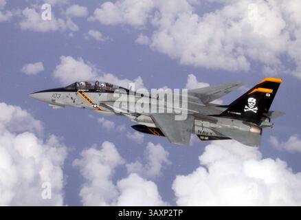 GRUMMAN F-14 TOMCAT della US Navy. Foto: US Navy Foto Stock