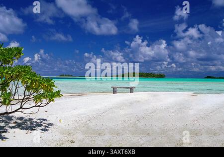 Su di una spiaggia tranquilla vicino alla laguna di Aitutaki delle Isole Cook, una panchina semplice e solitaria invita gli amanti della spiaggia a godersi la tranquillità dei dintorni Foto Stock