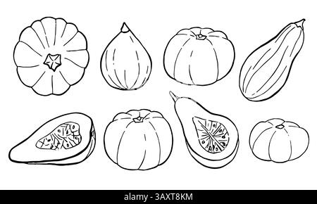 Set di zucca disegnata a mano con un contorno di inchiostro nero. Illustrazione vettoriale degli elementi di disegno del contorno, autunno, Halloween, Ringraziamento. Illustrazione Vettoriale
