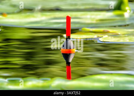 Pesca bobber nel lago tra le foglie di giglio d'acqua. Pesca affrontare con un bobber in acqua sul fiume Foto Stock
