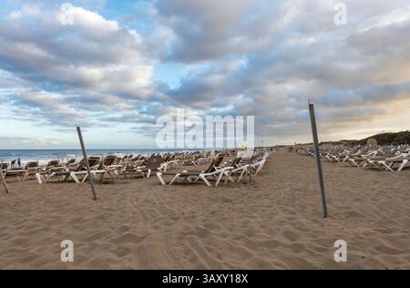 Scena serale alla spiaggia Playa del Inglés, Gran Canaria, con file di sedie a sdraio vuote di fronte all'oceano. Foto Stock