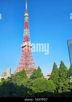 La Torre di Tokyo sorge sulla vegetazione urbana sotto il cielo azzurro Foto Stock