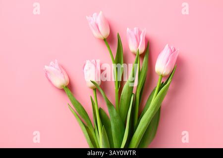 Bouquet di tulipani su uno sfondo rosa Foto Stock