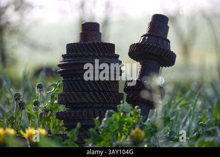 Ingranaggi arrugginiti, resti di macchinari, riposano tranquillamente in mezzo a una vegetazione lussureggiante. Le parti scartate mostrano dettagli complessi, evocando nostalgia industriale. Foto Stock