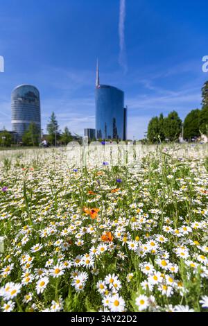 Milano, Italia. 22 aprile 2025. Prima giornata di caldo e fioriture alla BAM, Biblioteca degli alberi e Piazza Gae Aulenti - Milano, Italia - Martedì, 22 aprile 2025 (foto Stefano porta/LaPresse) primo giorno di calore e fioritura alla BAM The Tree Library - Milano, Italia - martedì 22 aprile 2025 (foto Stefano porta/LaPresse) credito: LaPresse/Alamy Live News Foto Stock