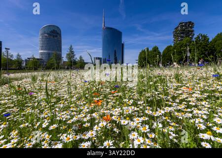 Milano, Italia. 22 aprile 2025. Prima giornata di caldo e fioriture alla BAM, Biblioteca degli alberi e Piazza Gae Aulenti - Milano, Italia - Martedì, 22 aprile 2025 (foto Stefano porta/LaPresse) primo giorno di calore e fioritura alla BAM The Tree Library - Milano, Italia - martedì 22 aprile 2025 (foto Stefano porta/LaPresse) credito: LaPresse/Alamy Live News Foto Stock