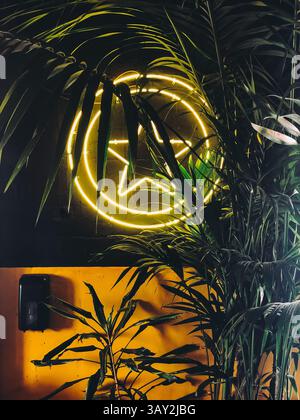 Segno di pace al neon che risplende attraverso foglie di palma verde e sfondo scuro Foto Stock