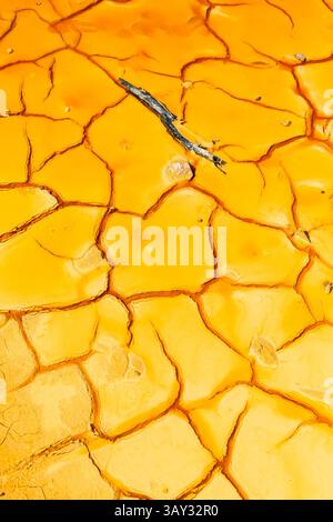 Fanghi giallo-arancio tossici incrinati con ramoscello secco a Mazarrón, Murcia, Spagna, che rivelano modelli astratti, contaminazione da minerali, e un ambiente estremo Foto Stock