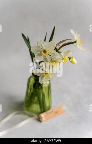 Narcisi bianchi elegantemente disposti in un vaso di vetro verde testurizzato, evidenziato su uno sfondo grigio tenue. I delicati petali e il vivace giallo ce Foto Stock
